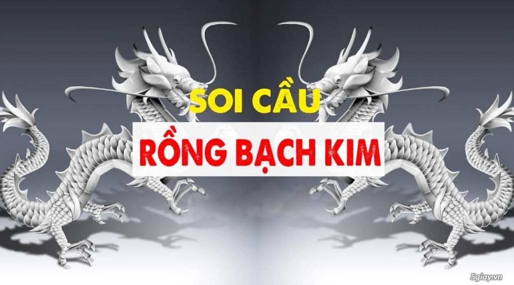 Soi Cầu Rồng Bạch Kim Miễn Phí